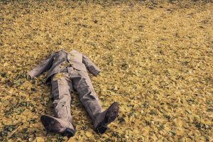 7 things they didn’t tell me about living next to the woods